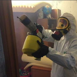 Уничтожение клопов в квартире. Улица Горчакова