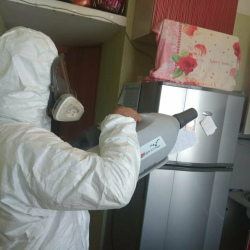 Уничтожение насекомых в квартире. Улица Горчакова
